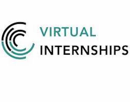Virtual Internships